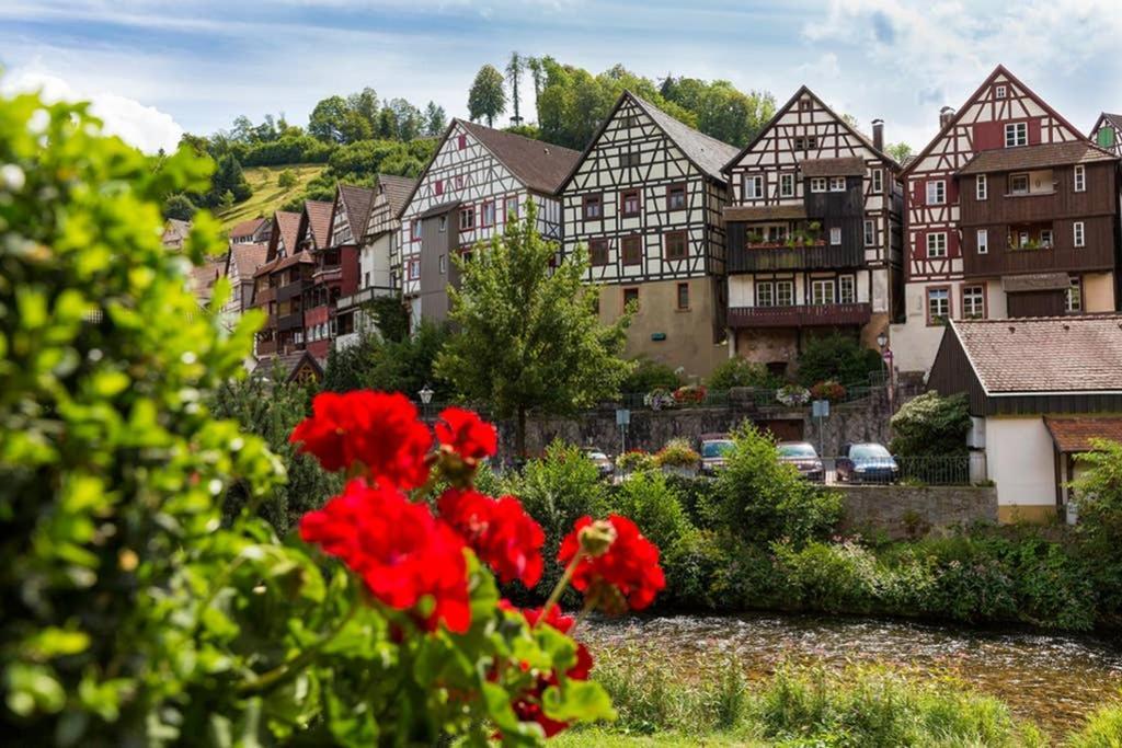 Ferienwohnung Haus Sieber - Familie Link Schiltach Exterior foto